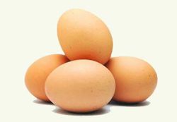 Ученые: употребление в еду куриных яиц понижает возможность развития диабета